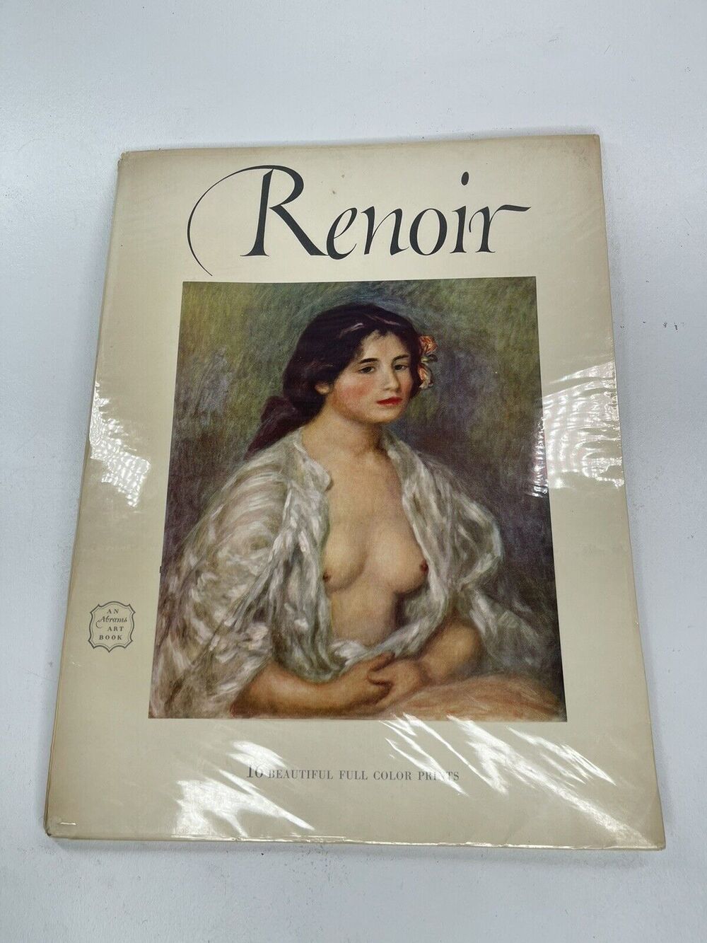 Renoir Art 1841 1919 Book An Abrams Treasure Art Gallery of Portraits